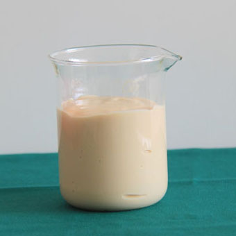 牛骨白湯